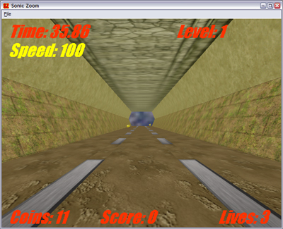 Screenshot of Sonic Zoom, showing 3 lane road running through a tunnel with on some lanes